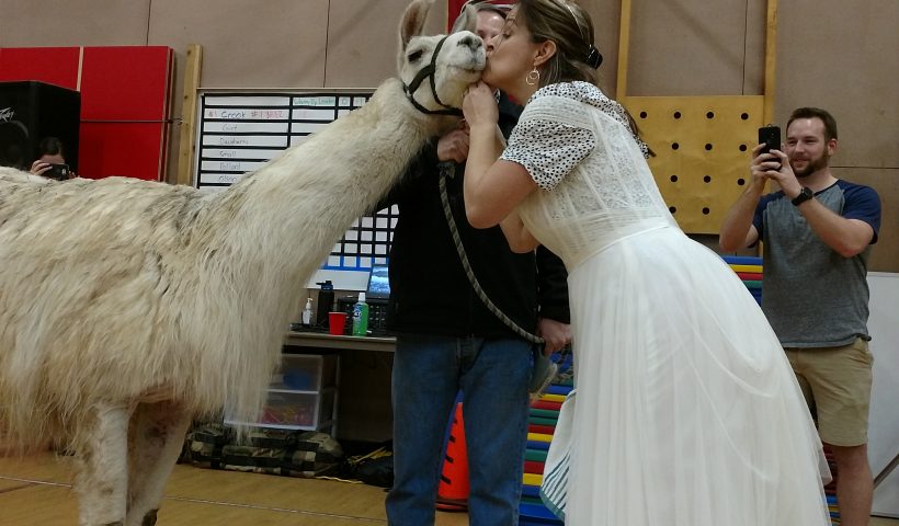 Mrs. Bennett and Bailey the Llama